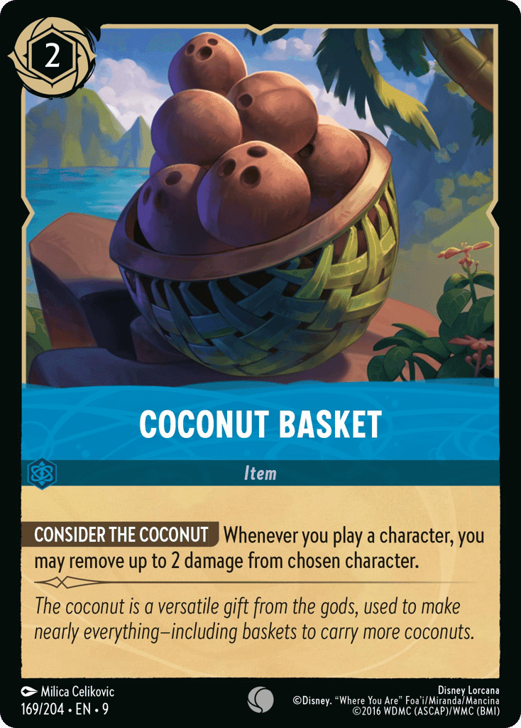Coconut Basket