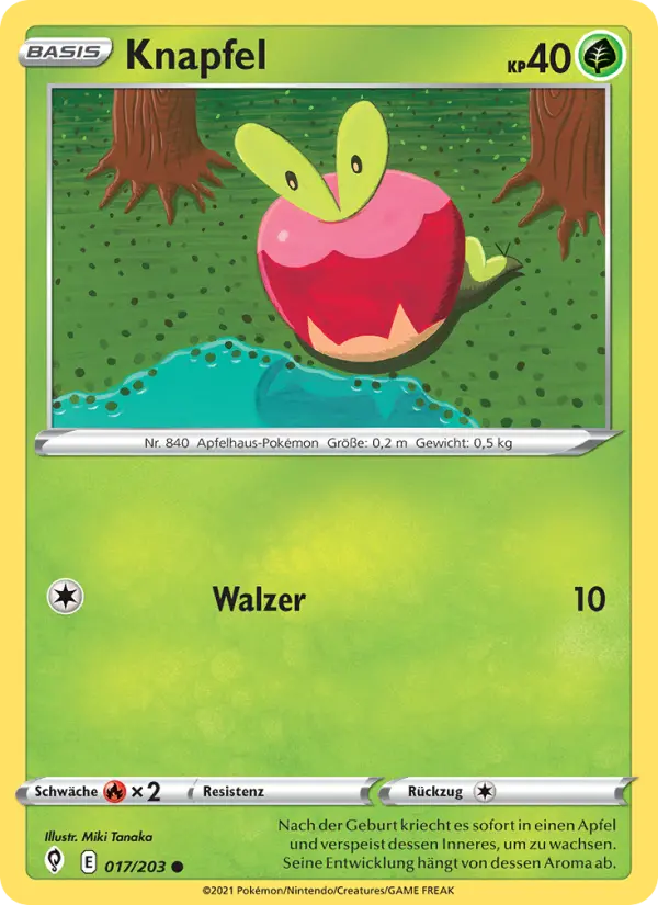 Knapfel