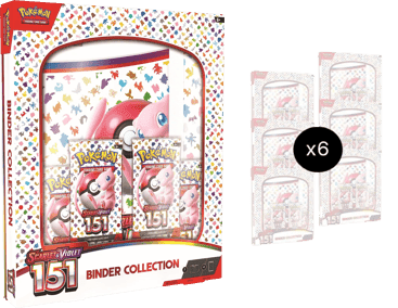 151 Binder Collection Case