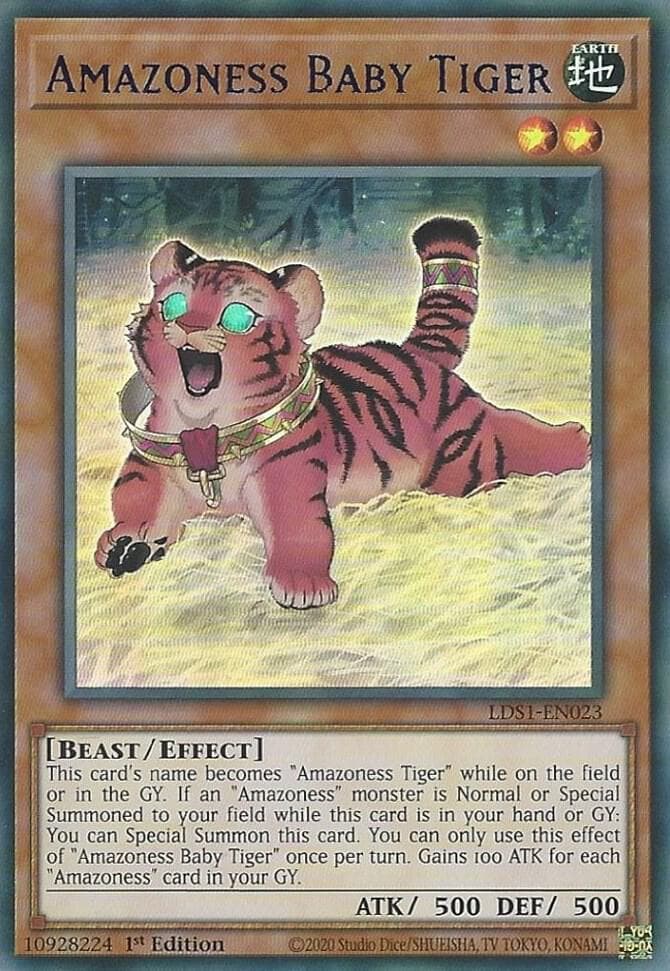 Amazoness Baby Tiger (Blue)